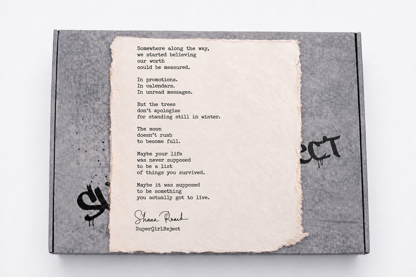 Poem: The Trees Don’t Apologize